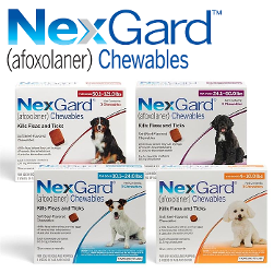 NexGard Chewables